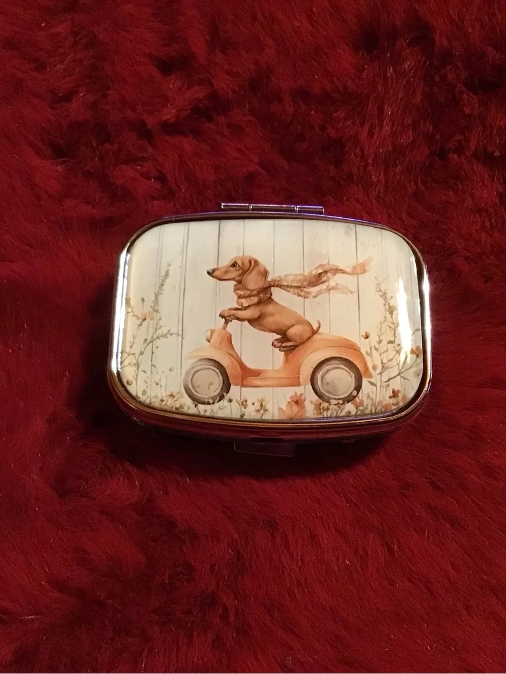 Dog Scooter mint or pill Box - Cream and Orange Dachshund Design